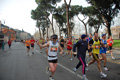 pino_0452