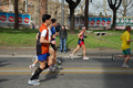 pino_0474