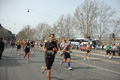 pino_0553