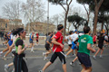 pino_0603