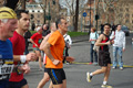 pino_0664