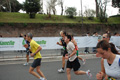 pino_1034