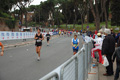 pino_1439