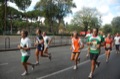 runforfood10_417