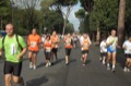 runforfood10_459