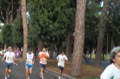 runforfood10_481