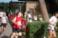 runforfood10_690