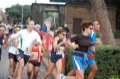 runforfood10_778