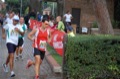 runforfood10_799