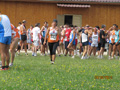 salvatori_1810
