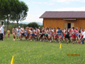 salvatori_1817