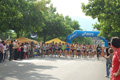 coccia_0056