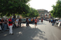 coccia_0313