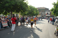 coccia_0334