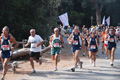 ostiaambiente_2447