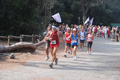 ostiaambiente_2523