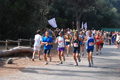 ostiaambiente_2527