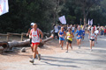 ostiaambiente_2536