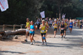 ostiaambiente_2569