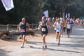 ostiaambiente_2575