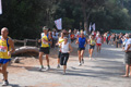 ostiaambiente_2576