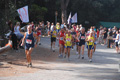 ostiaambiente_2578