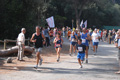 ostiaambiente_2579