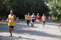 ostiaambiente_2914