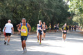 ostiaambiente_3029