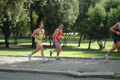 dominici_cup_3010