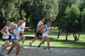 dominici_cup_3031