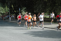 dominici_cup_3045