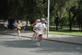 dominici_cup_3050