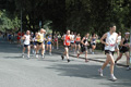 dominici_cup_3052