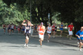 dominici_cup_3055
