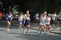 dominici_cup_3072