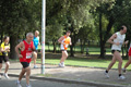 dominici_cup_3101