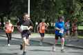 dominici_cup_3114