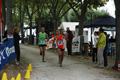 dominici_4224