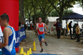 dominici_4266