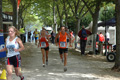 dominici_4291