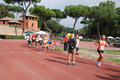 stafpat_6306