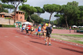 stafpat_6309
