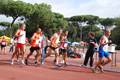 stafpat_6316