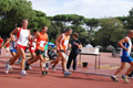 stafpat_6317