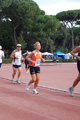 stafpat_6335