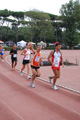 stafpat_6386