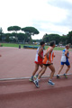 stafpat_6391