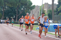stafpat_6408