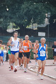 stafpat_6438